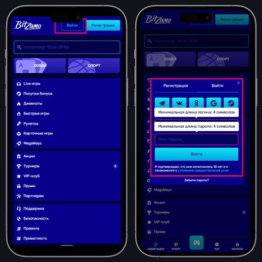 Интерфейс формы для авторизации